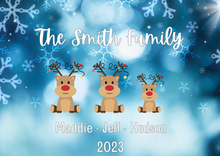 Load image into Gallery viewer, Custom Family Ornament
